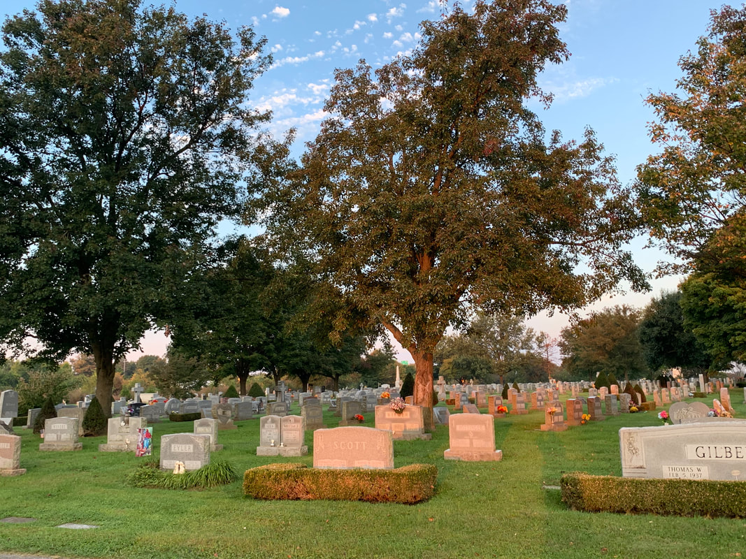Photos from Detroit's sports venue graveyard 